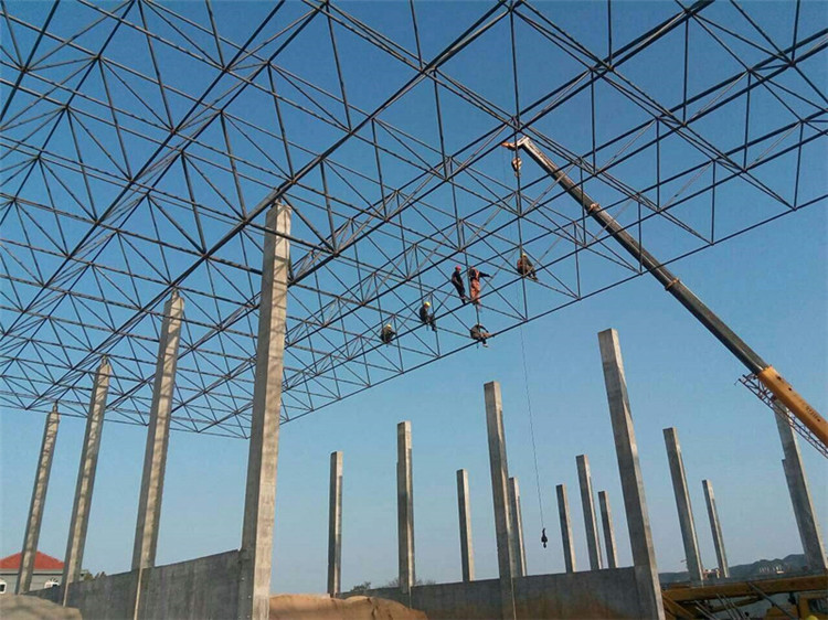 潮州加气站钢结构网架案例10